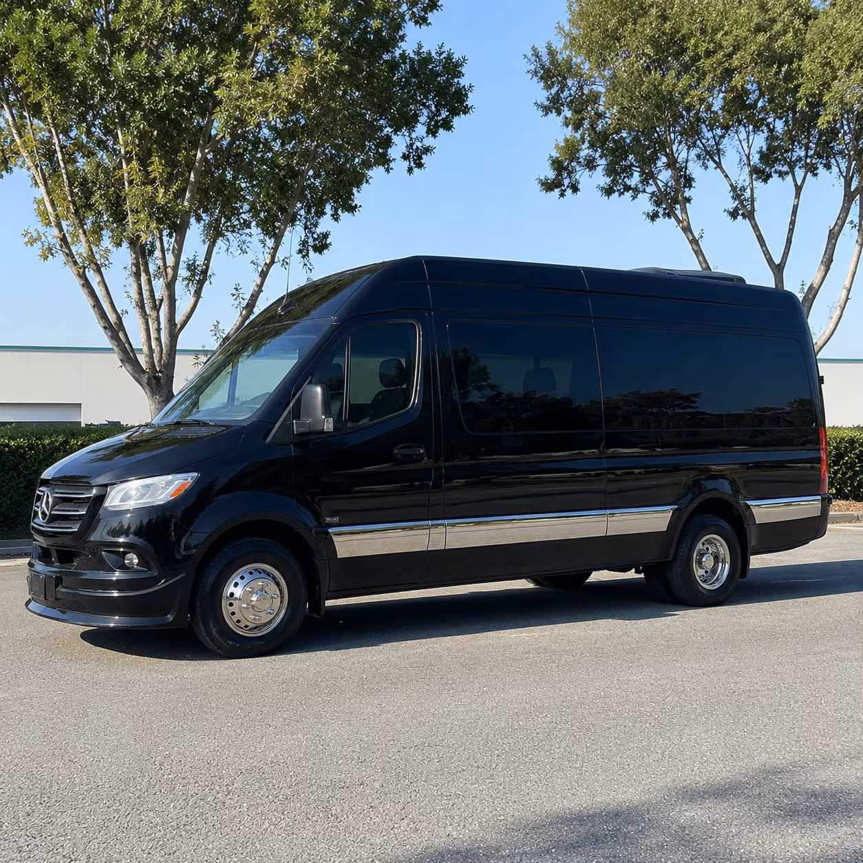 long beach sprinter van with driver